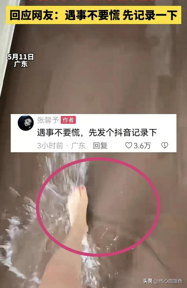 张馨予幽默回应：我不导电，我是绝缘体