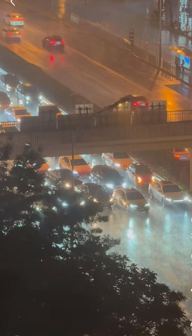 桥下躲冰雹致堵车该不该担责
