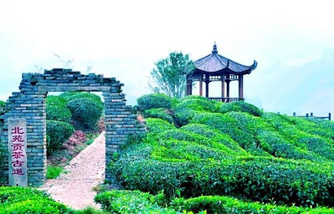 北苑贡茶：大宋顶级文人们的社交货币 | 香与茶