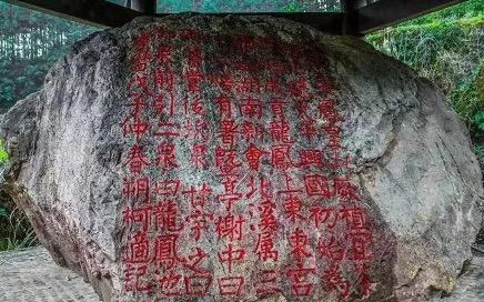 北苑贡茶：大宋顶级文人们的社交货币 | 香与茶