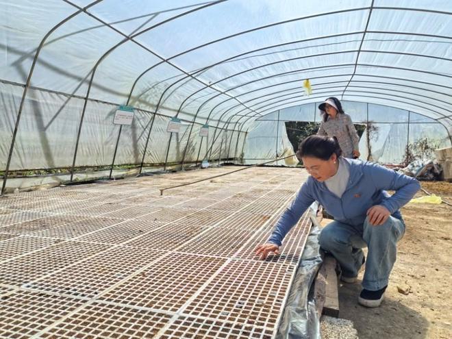 金融活水润巴渝：中国人寿寿险公司创新服务助力乡村振兴纪实
