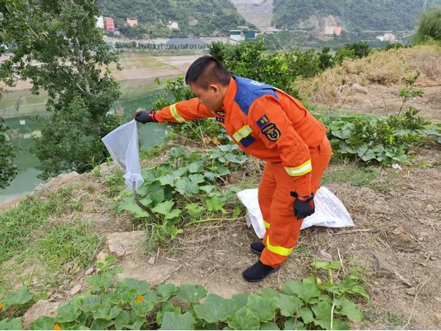 居民楼周围蛇出没 消防化身捕蛇人