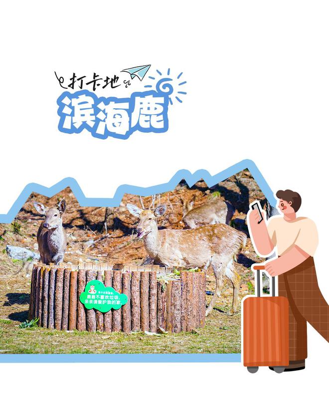 这10个网红打卡地，大连独有