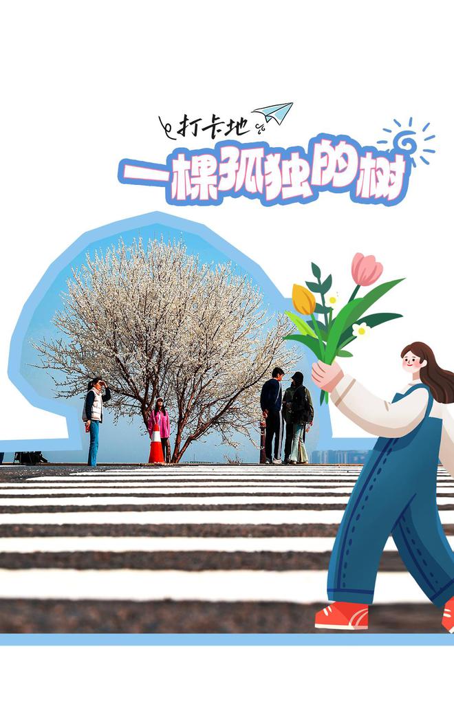 这10个网红打卡地，大连独有