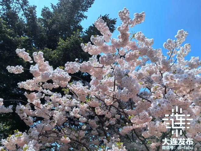 这10个网红打卡地，大连独有