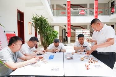 平安人寿河南分公司党委迎“七一”主题党日活动