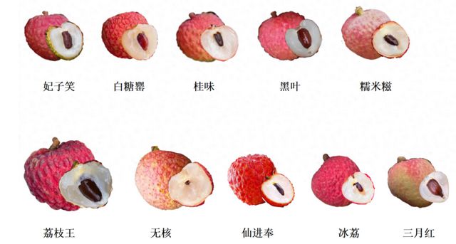 今年荔枝大丰收！10种热门荔枝口感大PK，一篇说清
