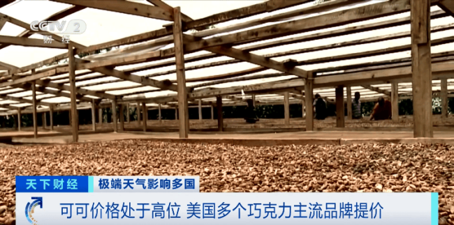 巧克力巨头集体宣布涨价