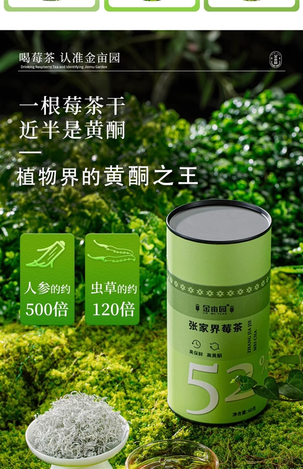 入口微苦 持久回甘：张家界芽尖莓茶60克38元尝鲜冲量