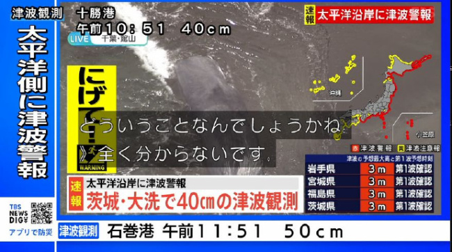 日本海啸 多条抹香鲸集体搁浅