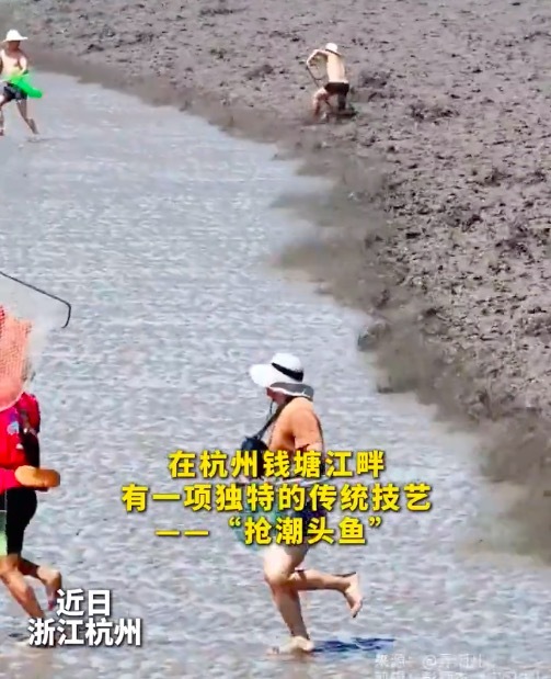 非遗“抢潮头鱼”场面震撼！抢潮头鱼是人与自然的博弈