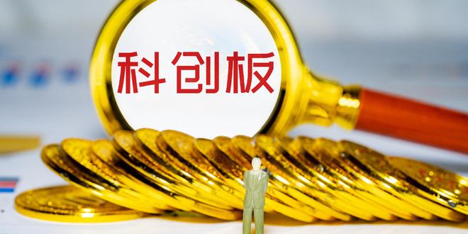 上交所召开落实科创板“1+6”政策股权投资机构座谈会