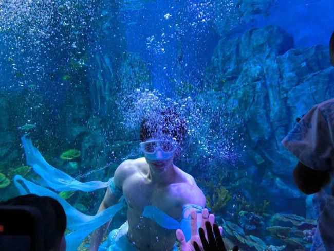 小伙当美人鱼月薪近万 从跳水运动员到海洋馆明星
