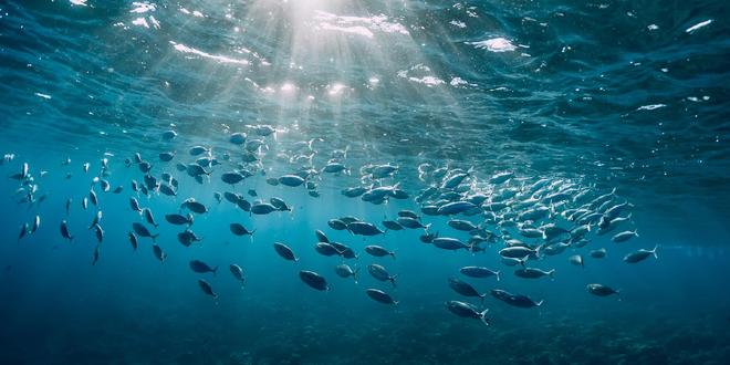 海兰信“拿下”海兰寰宇100%股权 上半年净利同比大增1300%