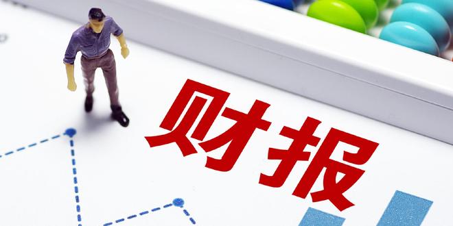 嘉必优2025中报：核心产品奠定业绩基石，营收净利实现双增