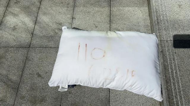 25楼抛下“血书枕头”求救的四川女子