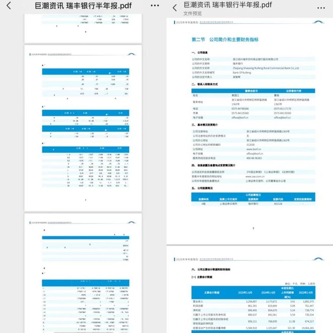 半年报出现乱码 瑞丰银行回应：系不同设备PDF阅读器差异