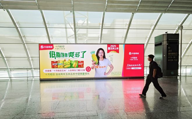 十月稻田2025年中报营利双增，IP联名引爆玉米热潮
