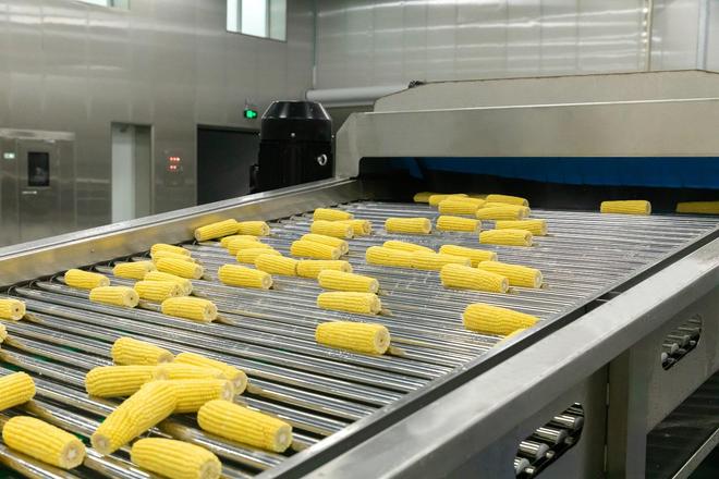 十月稻田2025年中报营利双增，IP联名引爆玉米热潮